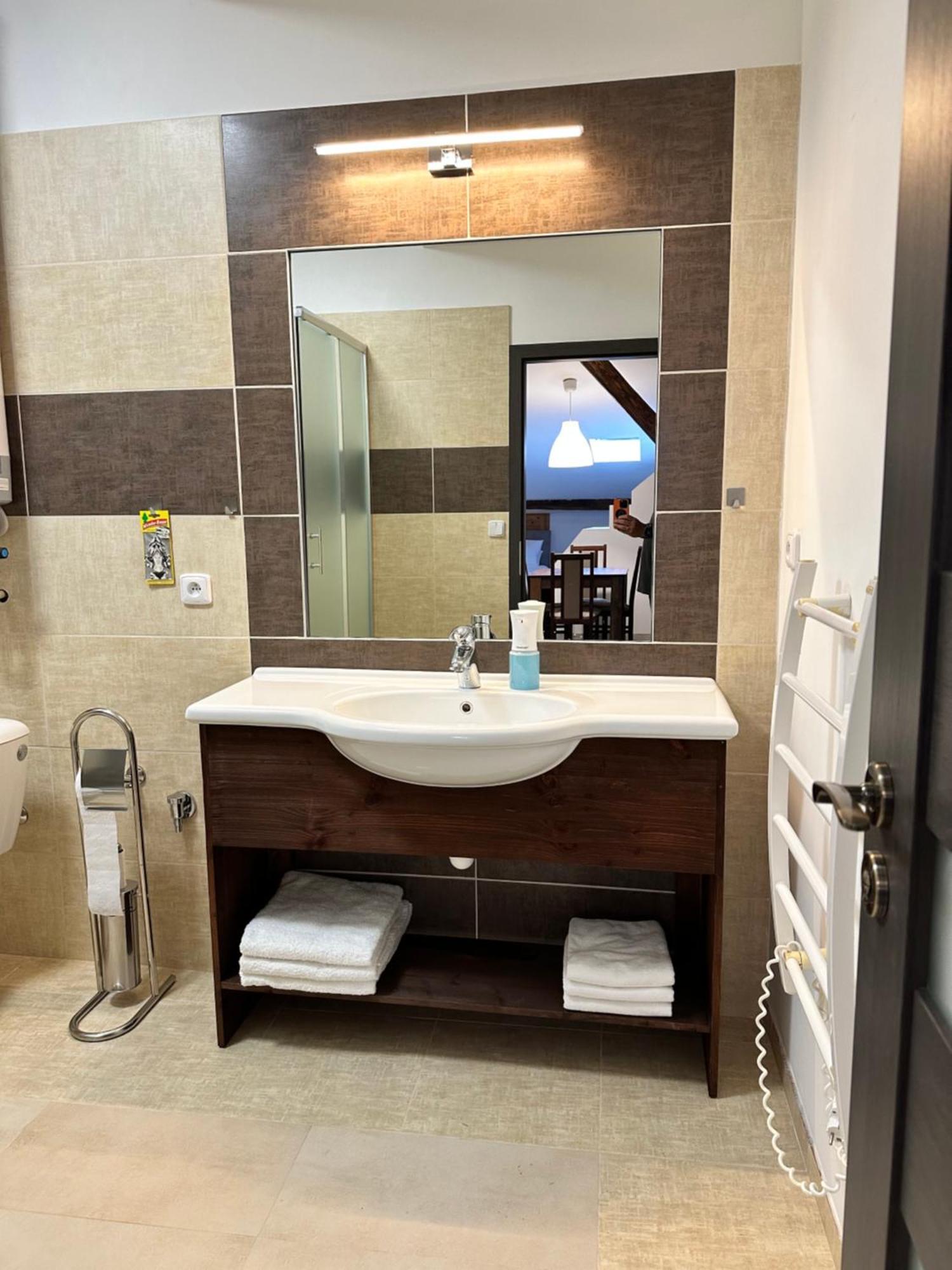 Studia Maxim Appartement Frýdek-Místek Buitenkant foto
