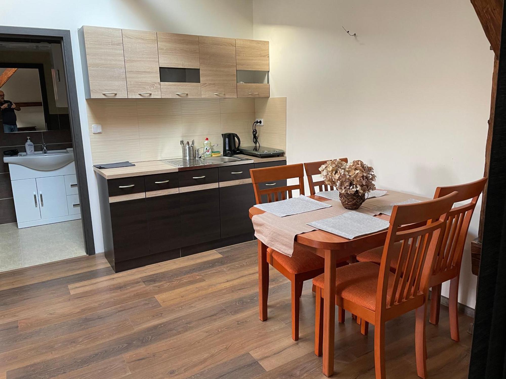 Studia Maxim Appartement Frýdek-Místek Buitenkant foto