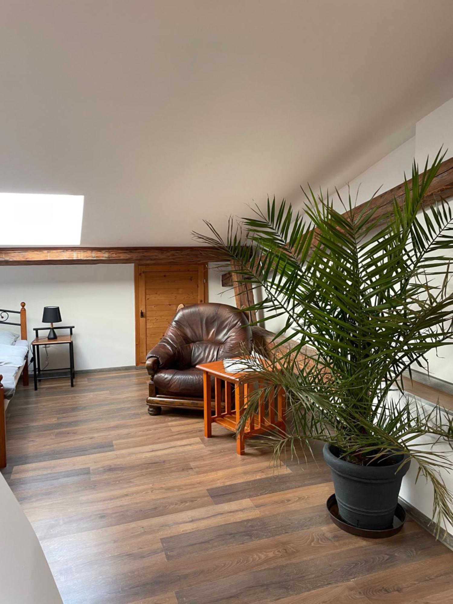 Studia Maxim Appartement Frýdek-Místek Buitenkant foto